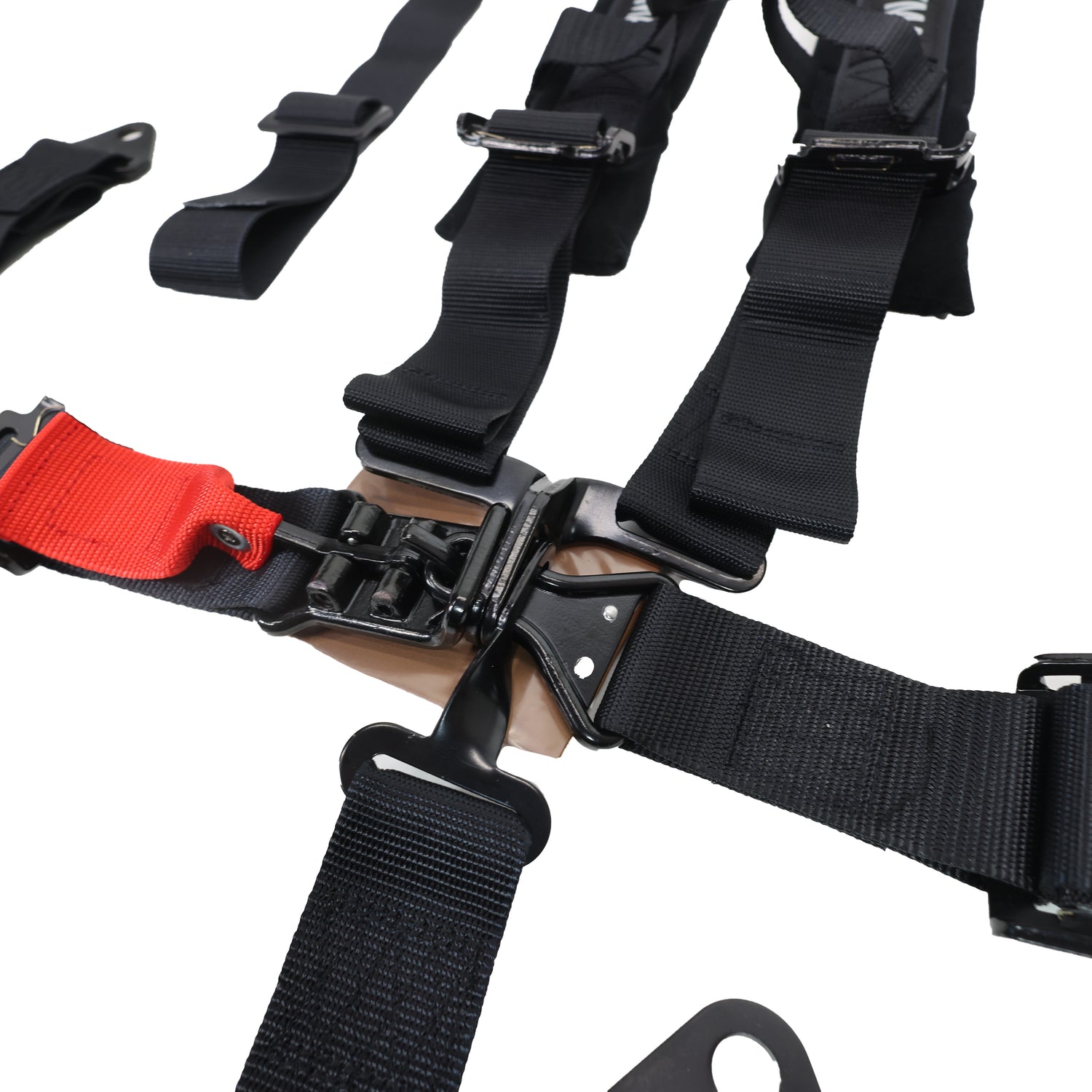 2-inch 5-point Harness with Off Road Buckle